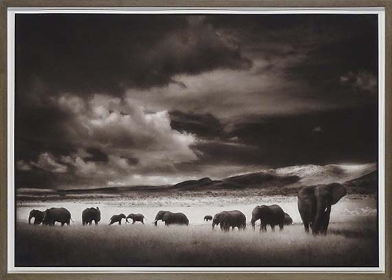 Nick Brandt - Elephant Herd, Serengeti - Frame image
