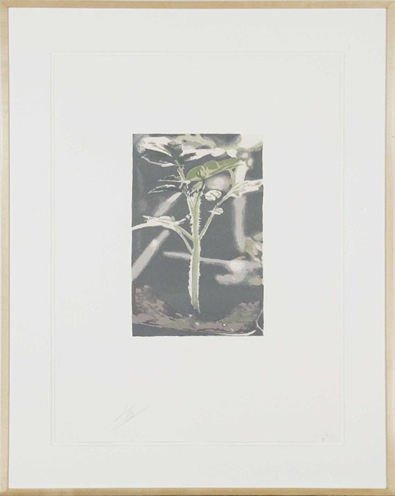 Luc Tuymans - Gen - Frame image