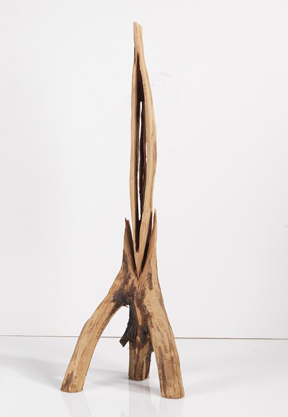 David Nash - Untitled (Vessel) - Back side
