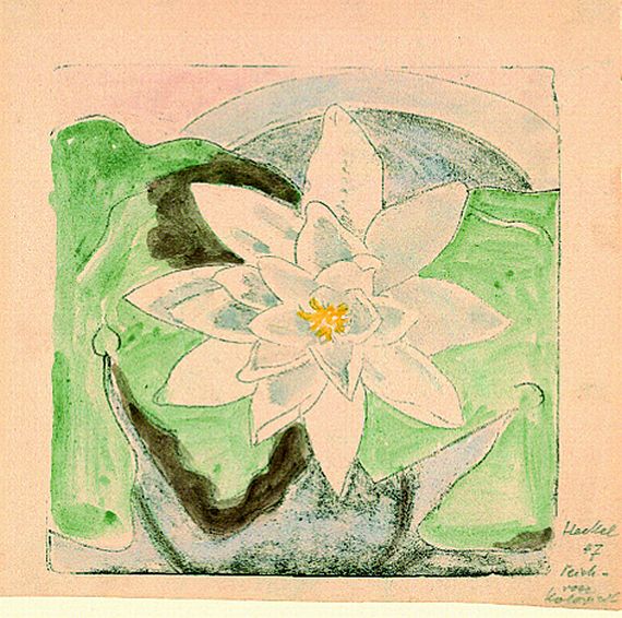 Erich Heckel - Teichrose