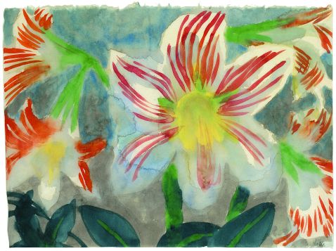Amaryllisblüten, 1930
