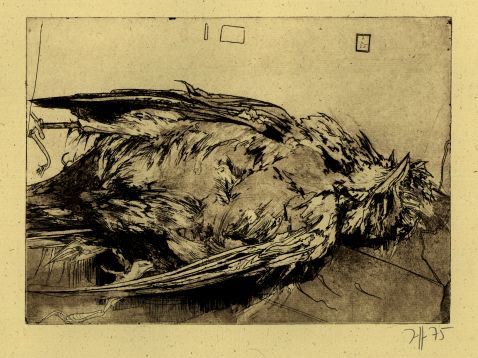 Horst Janssen - 2 Bll.: Toter Vogel. Gestürzter König