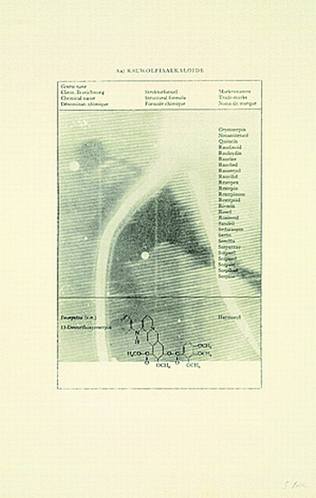 Sigmar Polke - 2 Bll.: Fernsehbild Eishockey (Rauwolfialkaloide). Häuserfront (Wer hier nichts erkennen kann, muß selber pendeln)