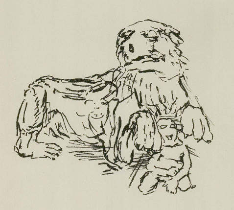 Oskar Kokoschka - Reed, A. E. Erzählung und Lithographien von O. Kokoschk