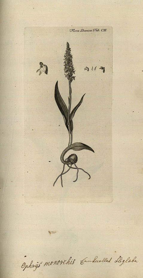   - Flora Danica, 10 Bde. 1766-1823