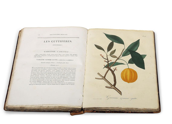 Joseph Roques - Phytographie médicale. 2 Bde. 1821.