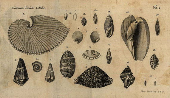 J. S. Schröter - Conchylienkenntniß. 3 Bde. 1783-86.