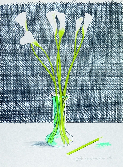 David Hockney - Lillies (Still Life)