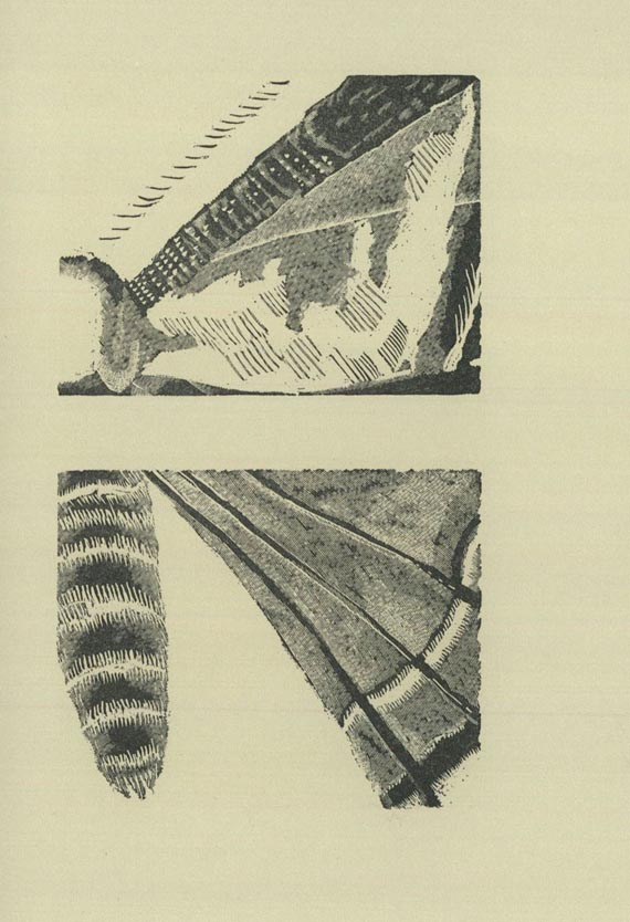 Raamin-Presse - Fabre, Abend des Nachtpfauenauges (R. Quadflieg). 1988