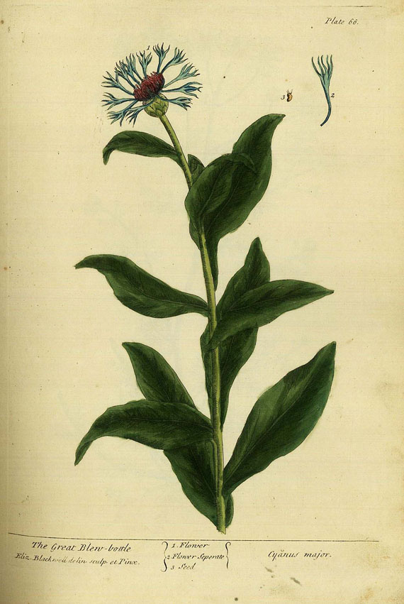 Elisabeth Blackwell - Curious Herbal, 2 Bde. 1739