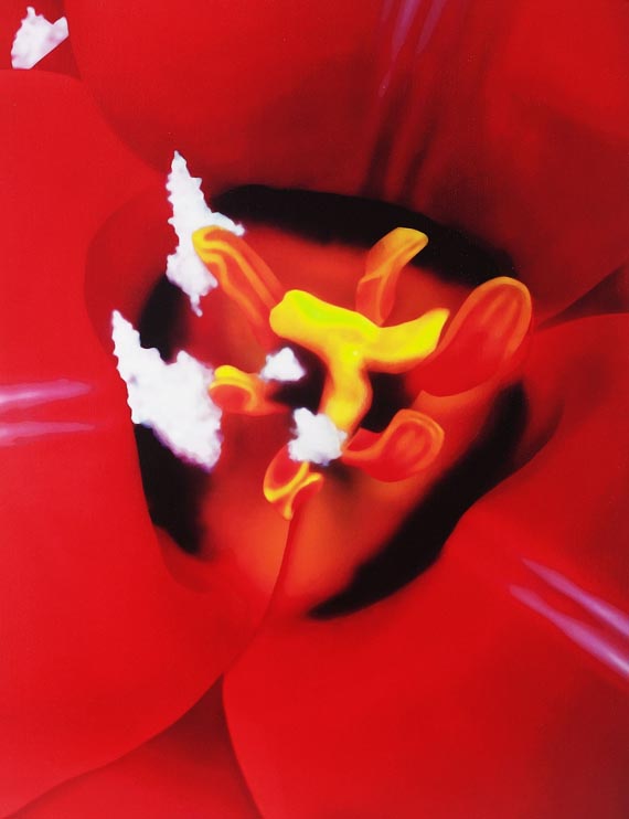 Marc Quinn - Close Up 1