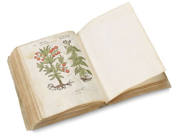  - Herbarum, arborum, fruticum, frumentorum. 1552 - 