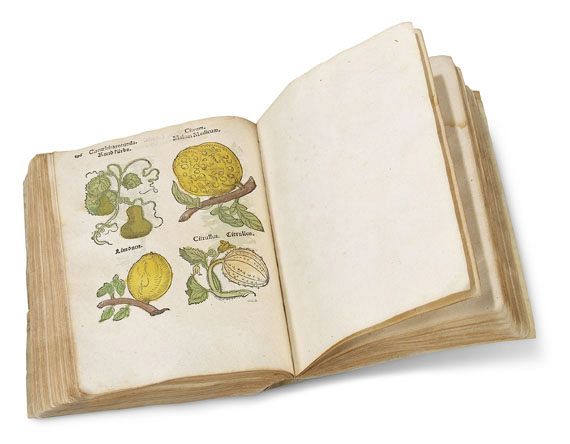  - Herbarum, arborum, fruticum, frumentorum. 1552 - 