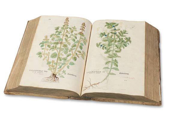 Leonhart Fuchs - De Historia stirpium. 1542. - 