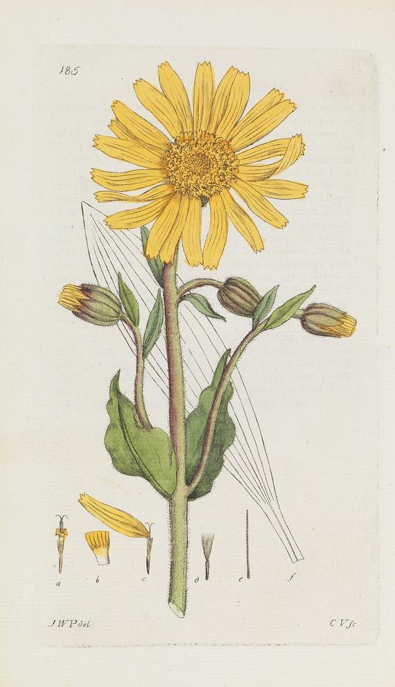 Johann Wilhelm Palmstruch - Svensk Botanik. 10 Bde. (von 11), 1802 - 