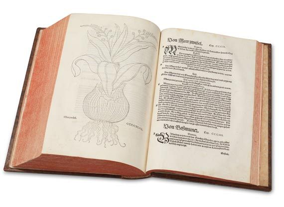 Leonhart Fuchs - New Kreüterbuch. 1543 - 