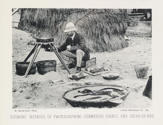 William Saville-Kent - The great Barrier Reef. 1893