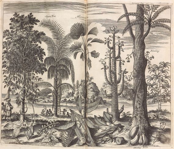 John Nieuhof - A Collection of Voyages and Travels. 1704 - 