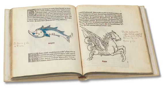 Gaius Julius Hyginus - Poeticon Astronomicon. 1482. - 