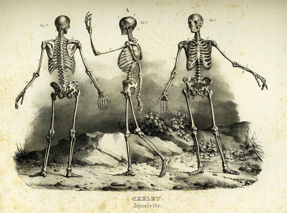 Heinrich Rudolf Schinz - Naturgeschichte und Abbildungen der Menschen, 1845