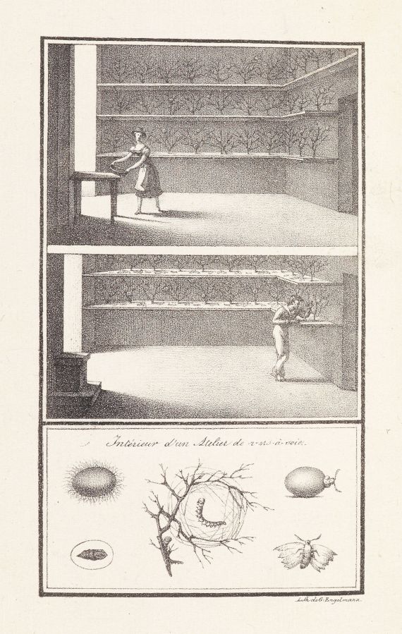 Le Comte Dandolo - L