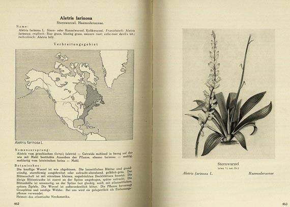 Gerhard Madaus - Biologischen Heilmittel 1938 3 Bde.