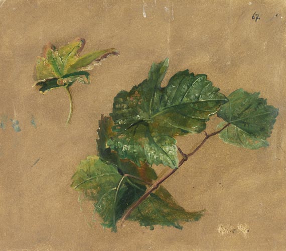 Christian Friedrich Gille - 2 Blätter: Distelblüten-Studie und Weinblatt-Studie - 