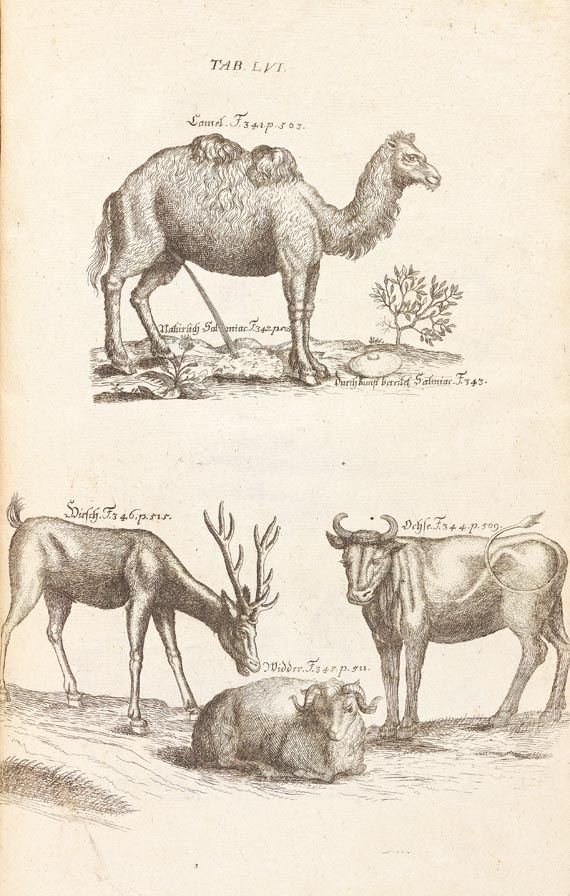 Pierre Pomet - Materialien- u. Naturalien-Magazin, 1727 - 