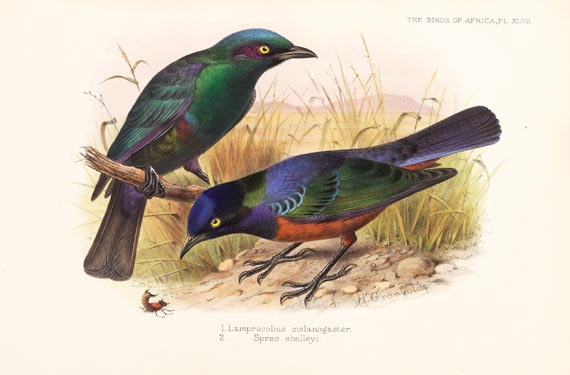 George Ernest Shelley - Birds of Africa, 6 Bde. (1896) - 