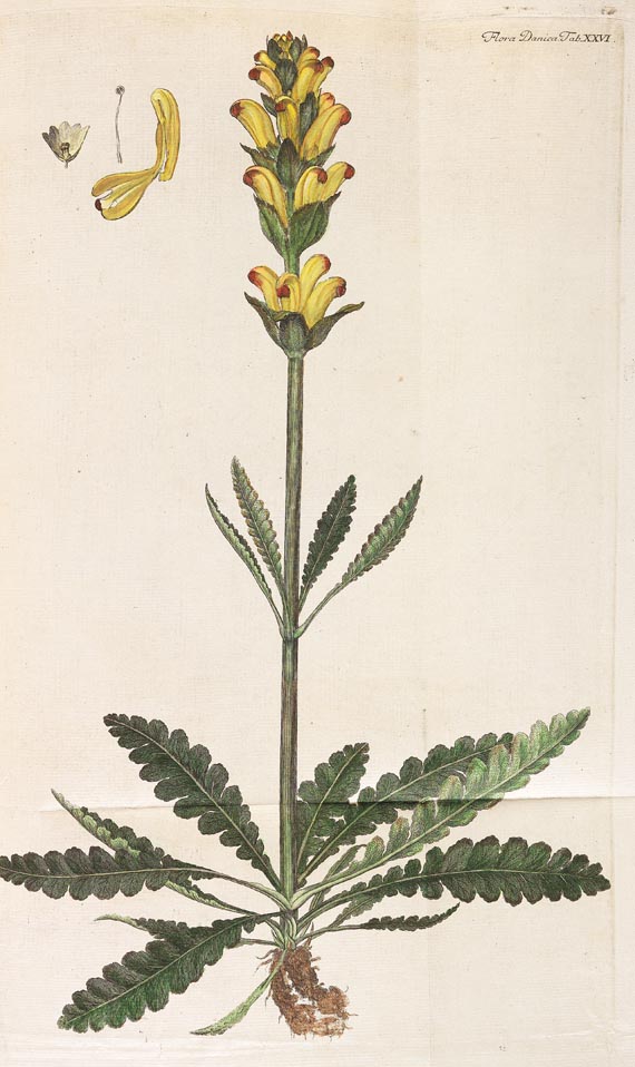 Georg Christian Oeder - Flora Danica, 1766, 29 Hefte in 15 Bdn. - 