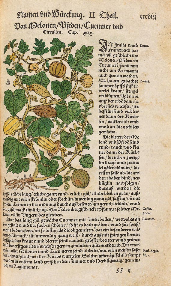 Hieronymus Bock - Kräuter Buch, 1630