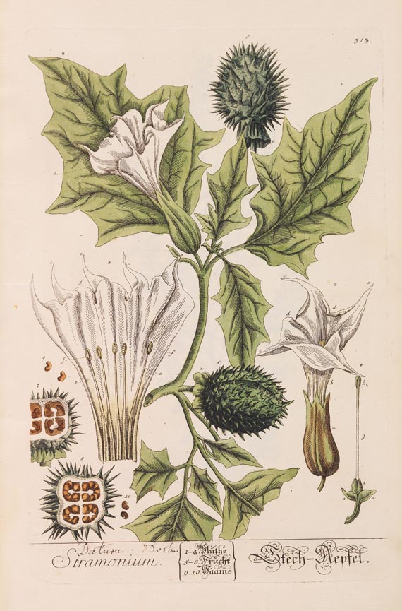   - Herbarium Blackwellianum. 6 Bde. 1750 - 