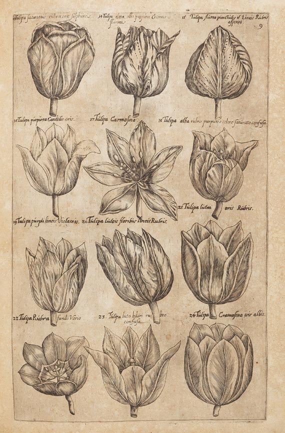 Emanuel Sweertius - Florilegium. 1612 - 