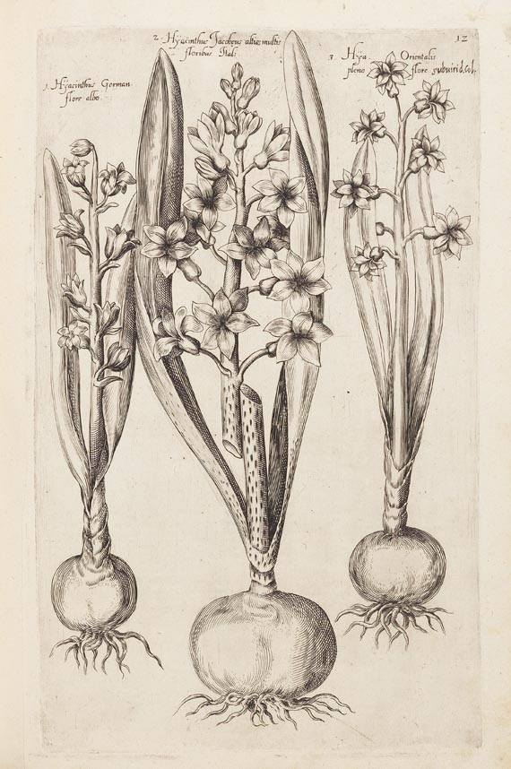 Emanuel Sweertius - Florilegium. 1612 - 