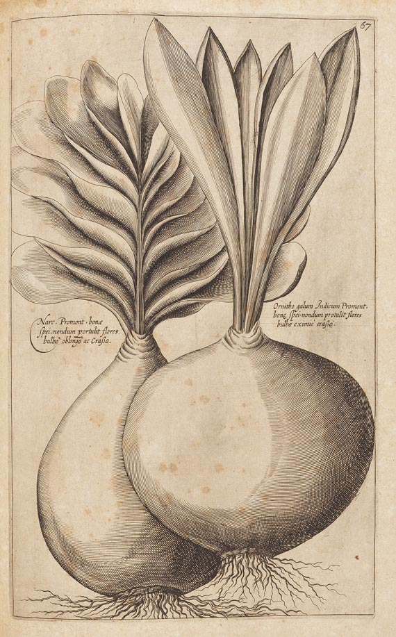 Emanuel Sweertius - Florilegium. 1612 - 