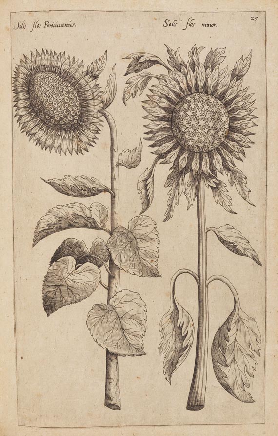 Emanuel Sweertius - Florilegium. 1612