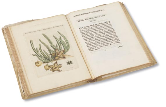 Caspar Commelin - Horti medici plantae. 1706 - 