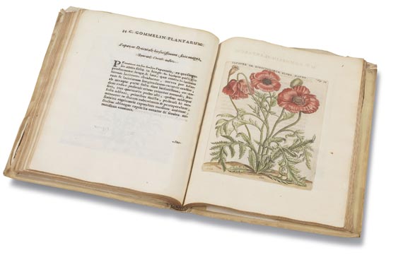 Caspar Commelin - Horti medici plantae. 1706 - 