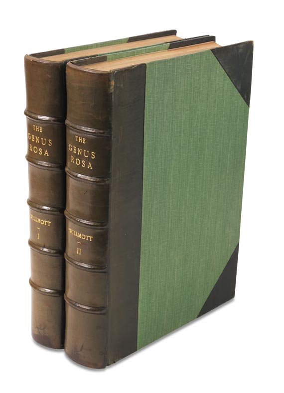 Ellen Willmott - The Genus Rosa, 2 Bde., 1914 - Cover