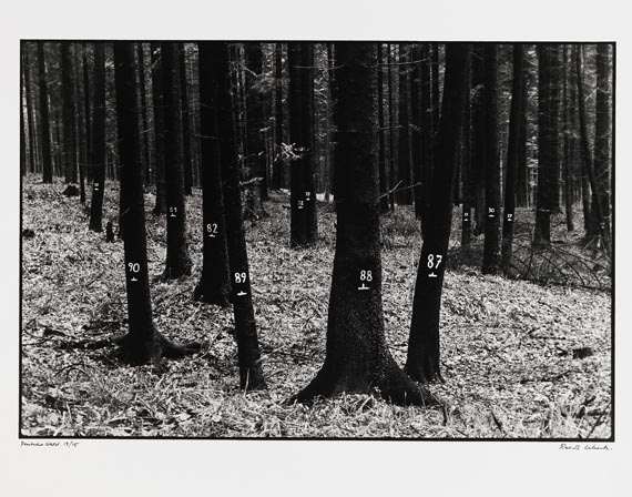  Mappenwerk / Portfolio - Images beyond the naked eye - 
