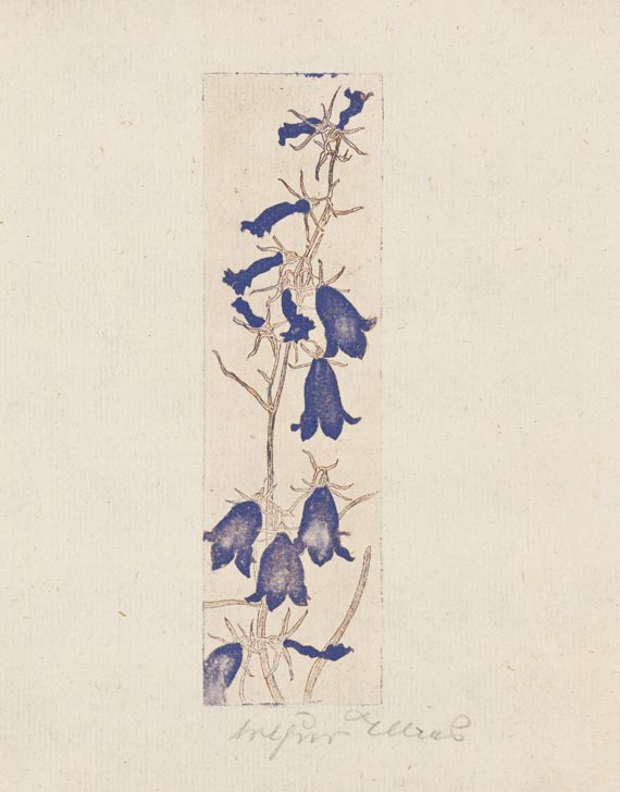 Arthur Illies - 2 Bll.: Glockenblume, Feldmohn - 