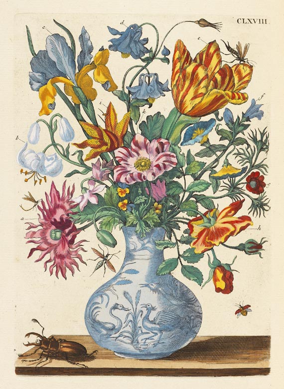 Maria Sibylla Merian - De europische Insecten. 1730 - 