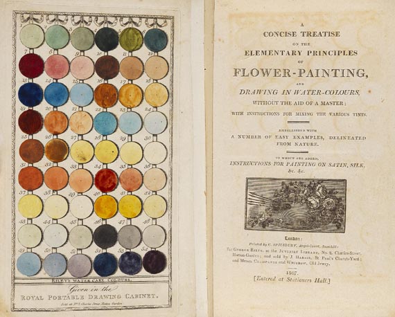 George Riley - Flower- Painting - 