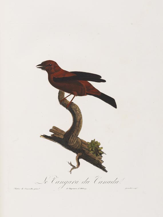 Anselme-Gaetan Desmarest - Histoire naturelle des Tangaras, des Manakins et des Todiers. 1805-07. - 