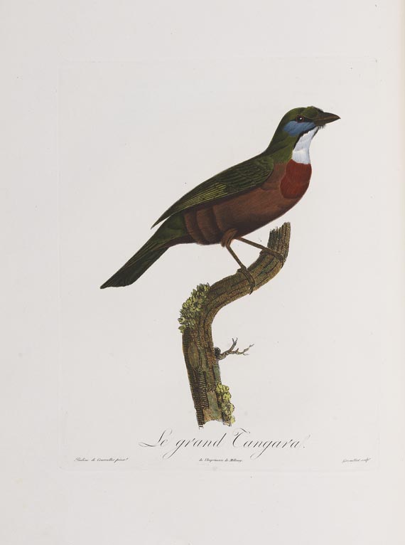 Anselme-Gaetan Desmarest - Histoire naturelle des Tangaras, des Manakins et des Todiers. 1805-07. - 