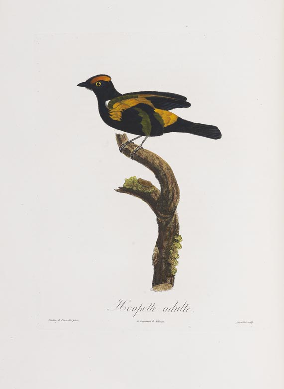 Anselme-Gaetan Desmarest - Histoire naturelle des Tangaras, des Manakins et des Todiers. 1805-07. - 