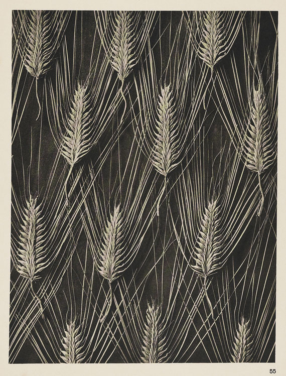Karl Blossfeldt - Wundergarten der Natur. 1932. - 