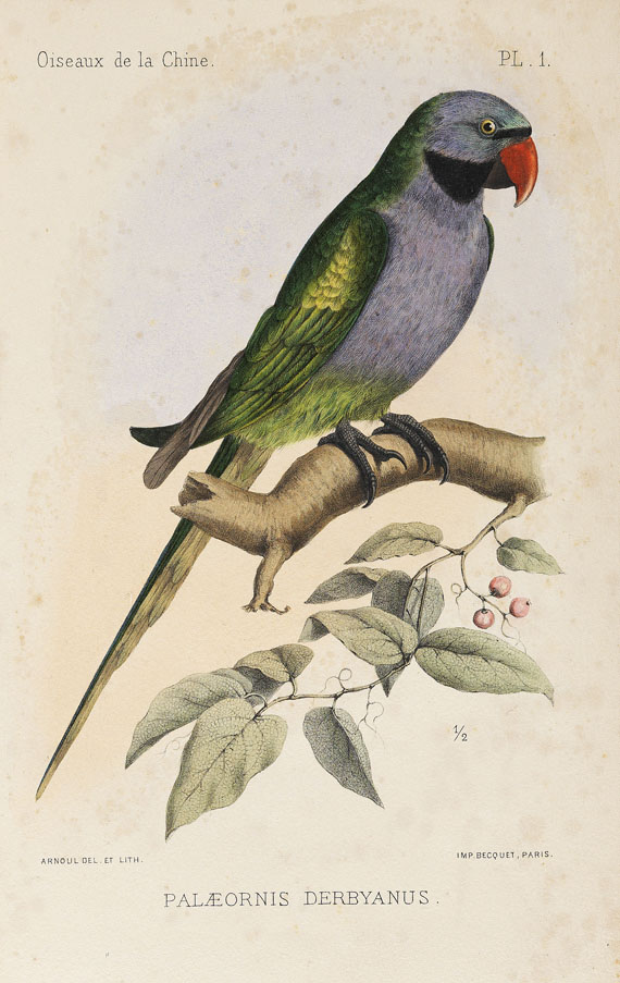 Armand David - Oiseaux de la Chine. 1877. - 