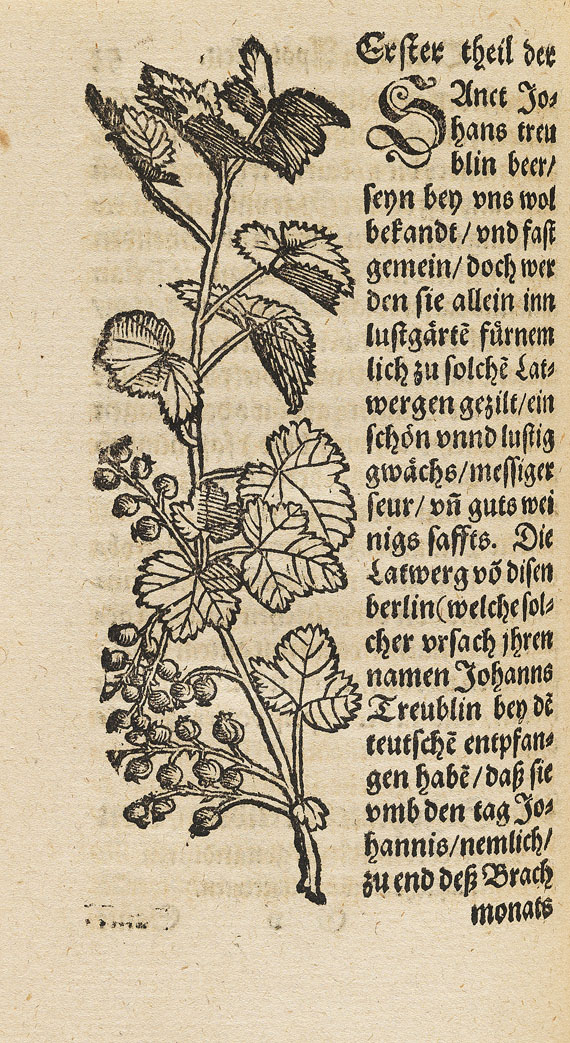 Walther Hermann Ryff - Confectbuch unnd Hausz Apoteck. 1578. - 