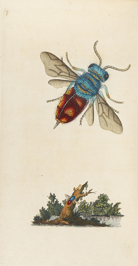 E. Donovan - Natural history of british insects. 8 Bde. 1794-1813. - 